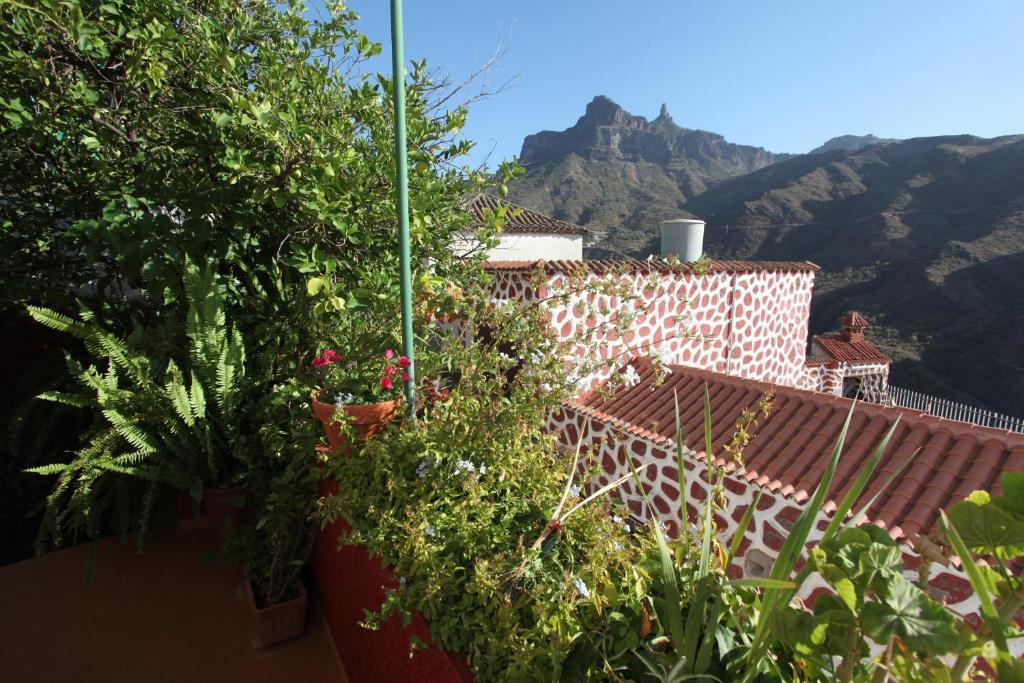 Rural Houses Serafin Casa Rural Serafin The Best Views Tejeda  Room photo